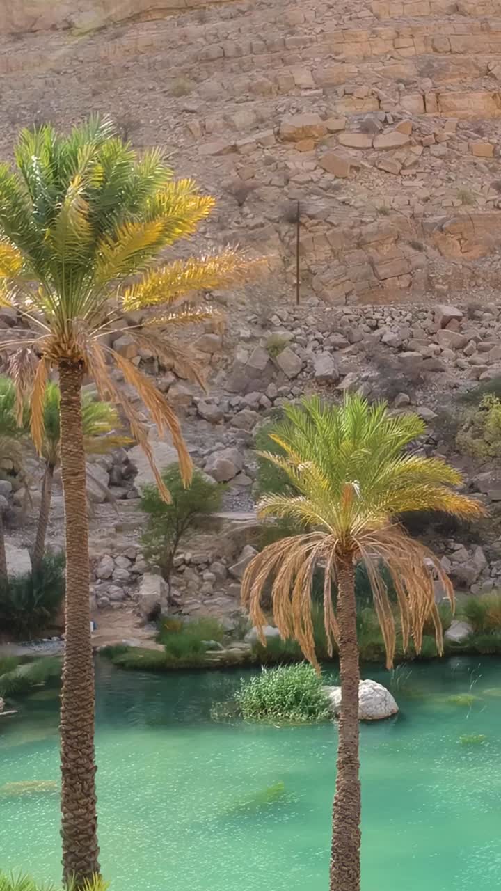 Vista aerea verticale dell'incredibile oasi di Wadi Bani Khalid con acqua turchese e palme nel Sultanato dell'Oman