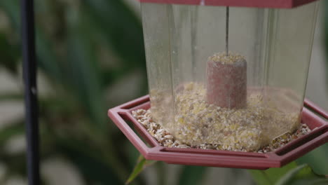 Traurige-Nahaufnahme-Eines-Vogelhäuschens,-Das-Sich-Im-Wind-Bewegt,-Und-Keine-Vögel