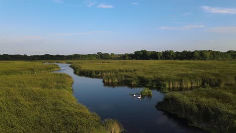 drone circling around a beautiful blue creek river with two wild birds resting in the water among thick vegetation and slight breeze across the 9 mile creek in bloomington minnesota