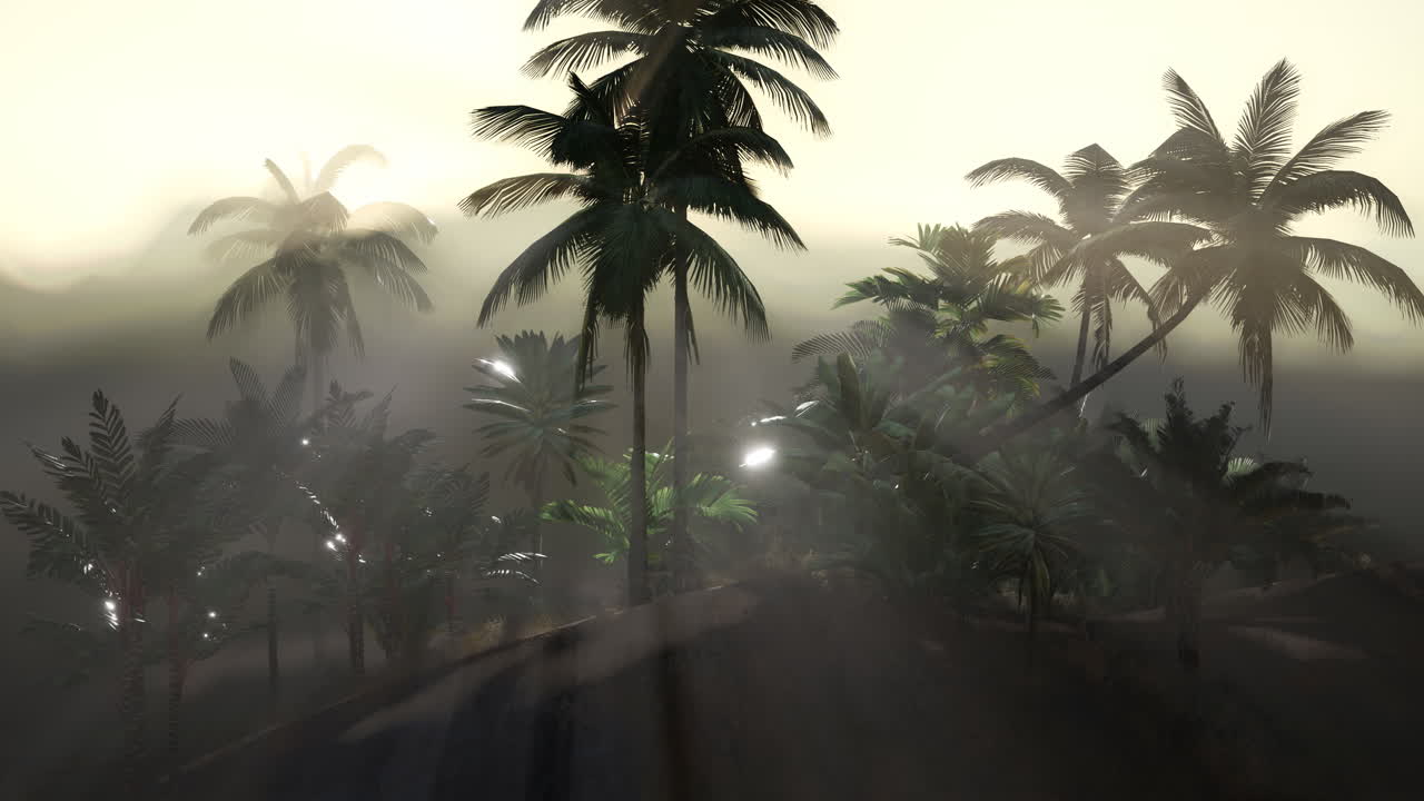 코코  ⁇  나무 열대 풍경