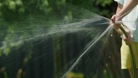 watering the garden