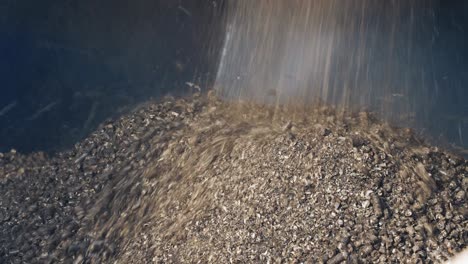 pressed wooden briquettes coming out of the industrial equipment. biomass fuel and environmental protection concept