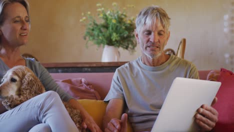 senior caucasian couple using tablet and sitting with dog in living room