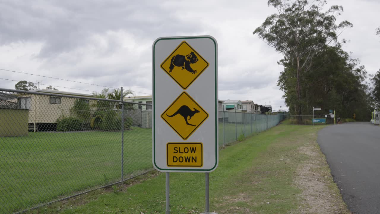 Slow down Kangaroo and Koala wildlife road sign in Australia city