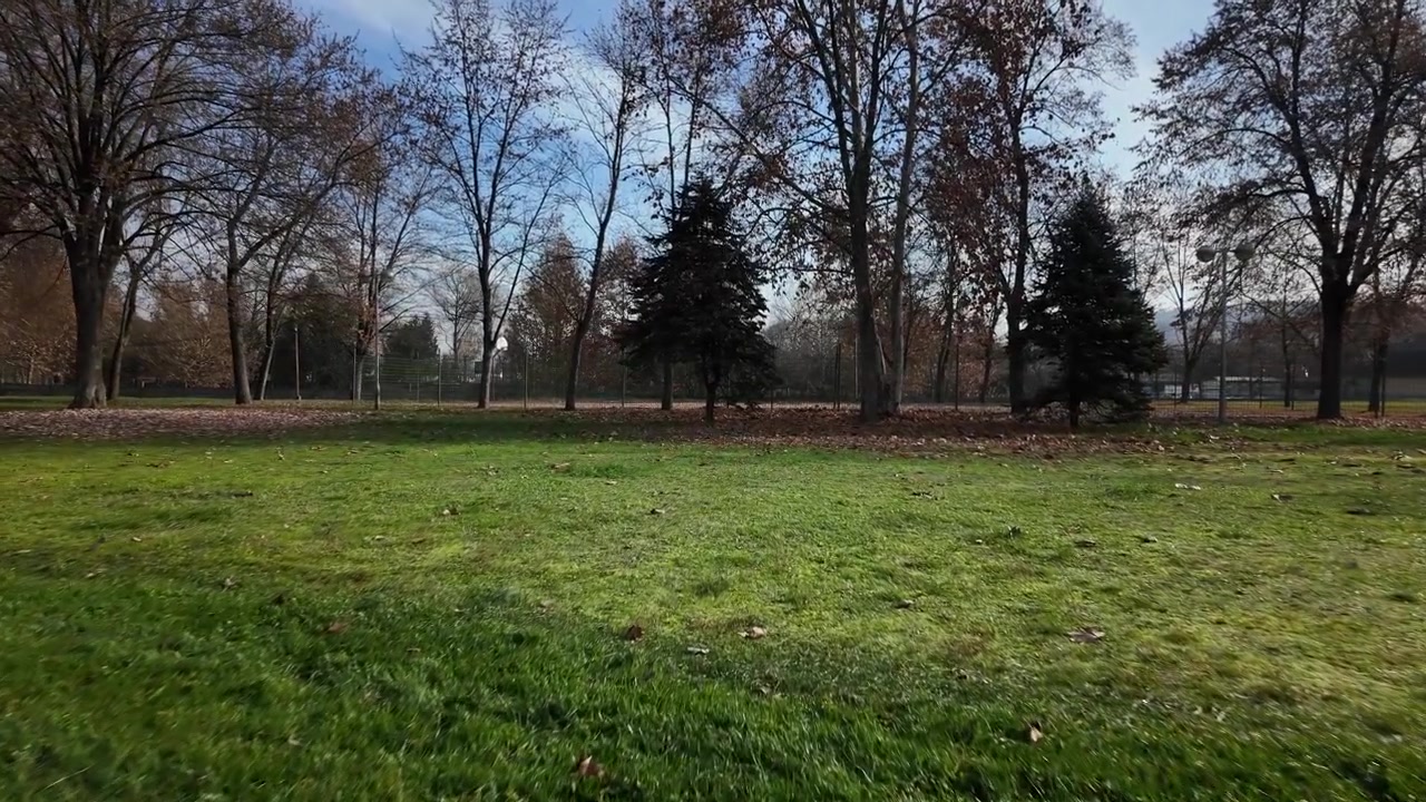Vaste étendue d'herbe dans un parc en automne