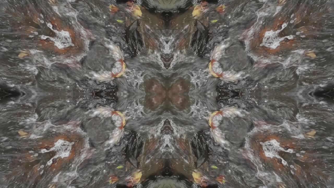 caleidoscopio de tomas de la naturaleza, wissahickon creek