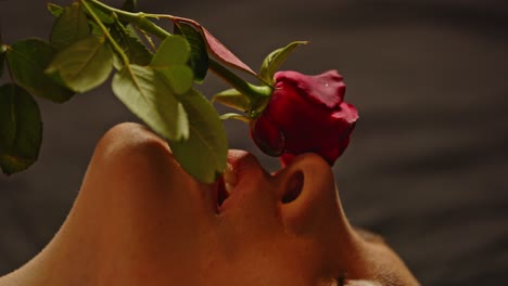 close up of a rose sensually caressing the face and body of an attractive woman dressed in sexy lingerie