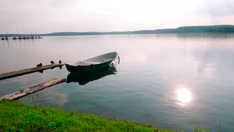 a boat in a lake surrounded by a green forest