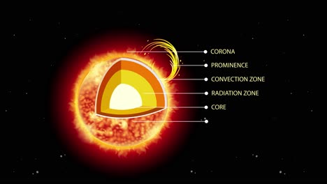 educational animation illustrating the sun's layers and activity.