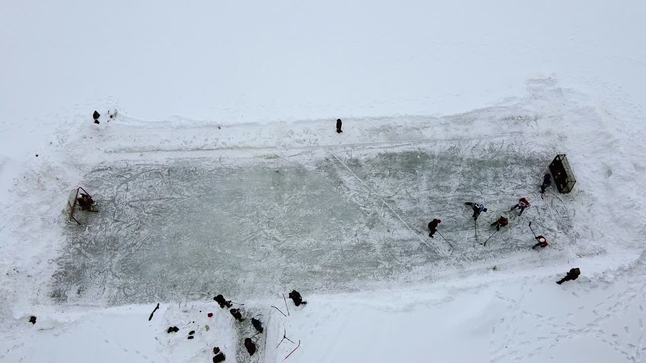 붉은 사슴, 앨버타, 캐나다