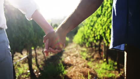 Couple-holding-hands-while-walking-at-vineyard