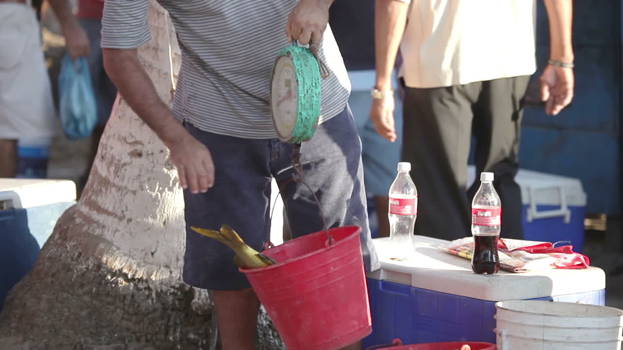 pescadores de zihua 28