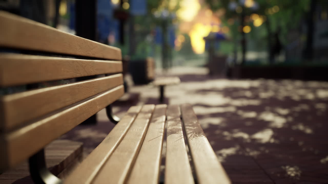 나무 와 벤치 가 있는 조용 한 도시 공원