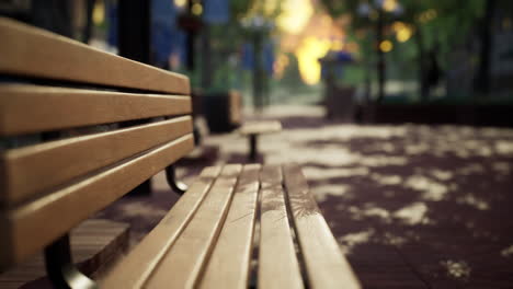 tranquilo parque de la ciudad con árboles y bancos