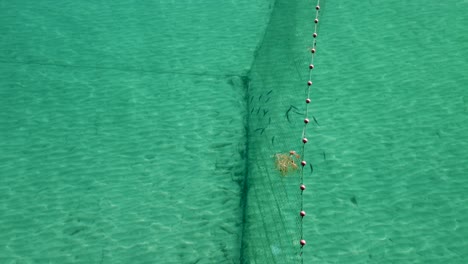 Aerial-Drone-View-of-Fish-Swimming-Into-a-Fishing-Net-in-the-Mediterranean-Sea:-Aerial-View-of-a-Traditional-Trap-in-Thessaloniki's-Crystal-Clear-Blue-Waters