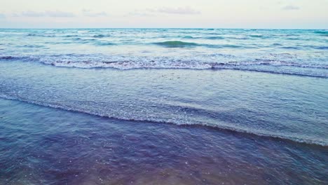 white sandy beach covered in red sargassum seaweed algae with small waves breaking on shore
