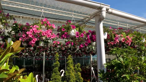 Flores-Y-Plantas-En-Una-Gran-Tienda-De-Jardín-A-Cámara-Lenta