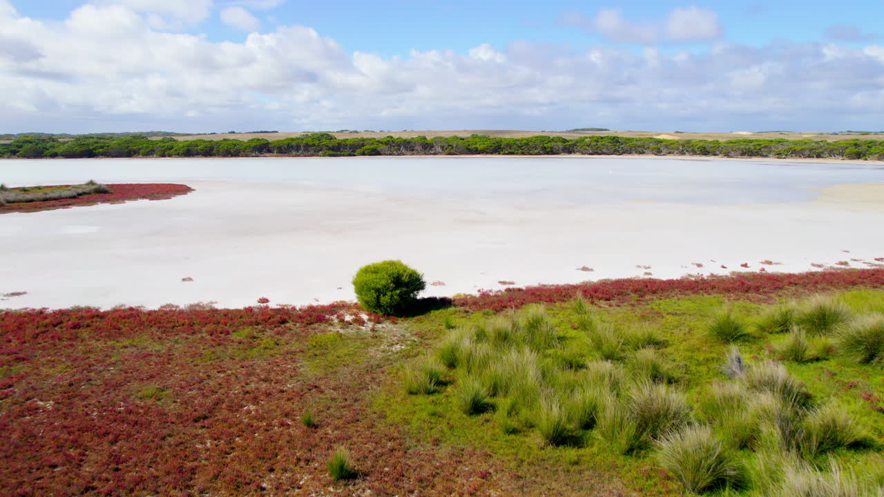 Backward aerial shot over a white salt lake in Salt Creek, South Australia. As the camera moves, small salt flowers appear across the surface, ending in a close-up of their delicate textures