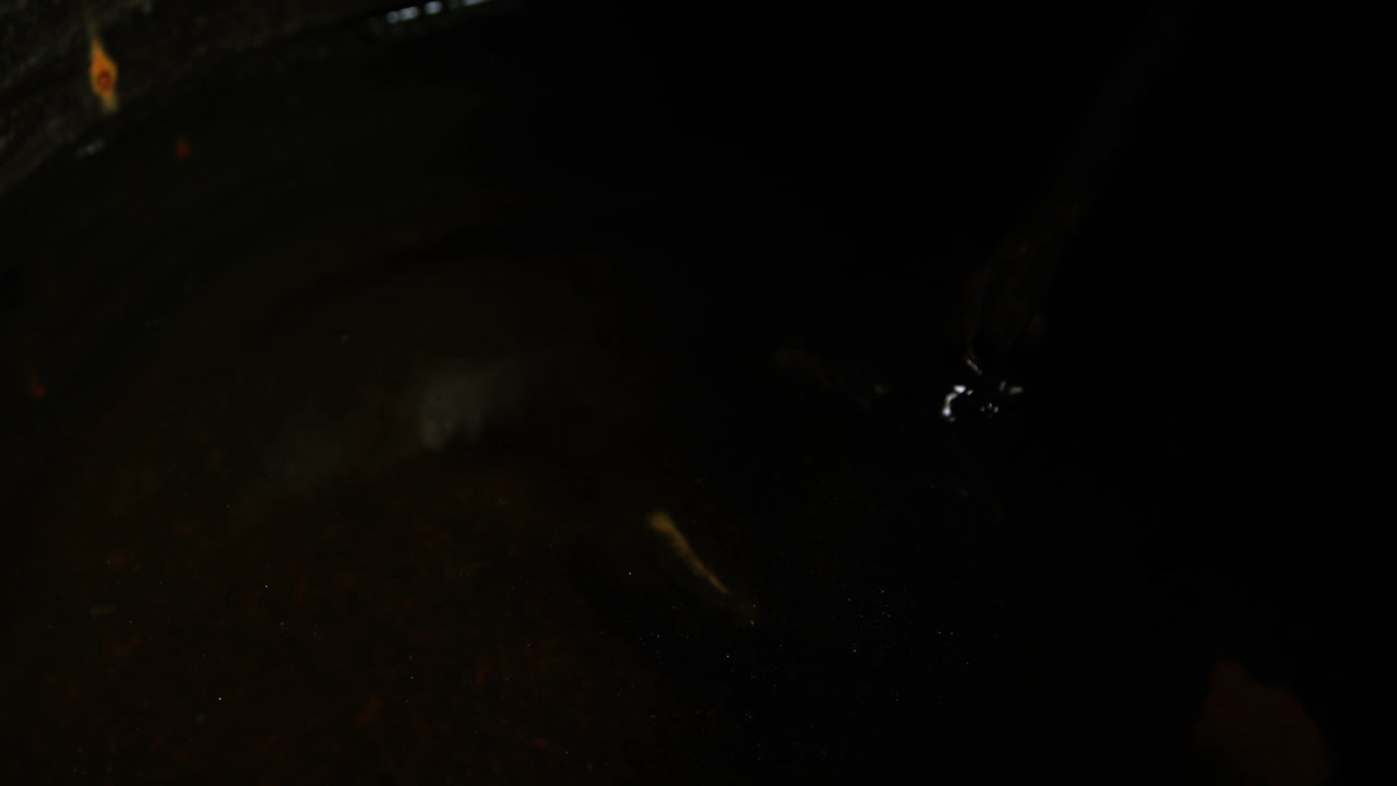 primer plano de un herrero enfriando una herradura en agua