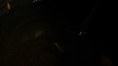 primer plano de un herrero enfriando una herradura en agua