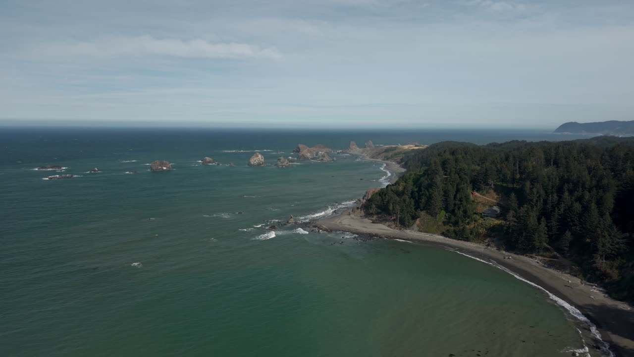 Aerial view of a rugged coastline with sea stacks and forests