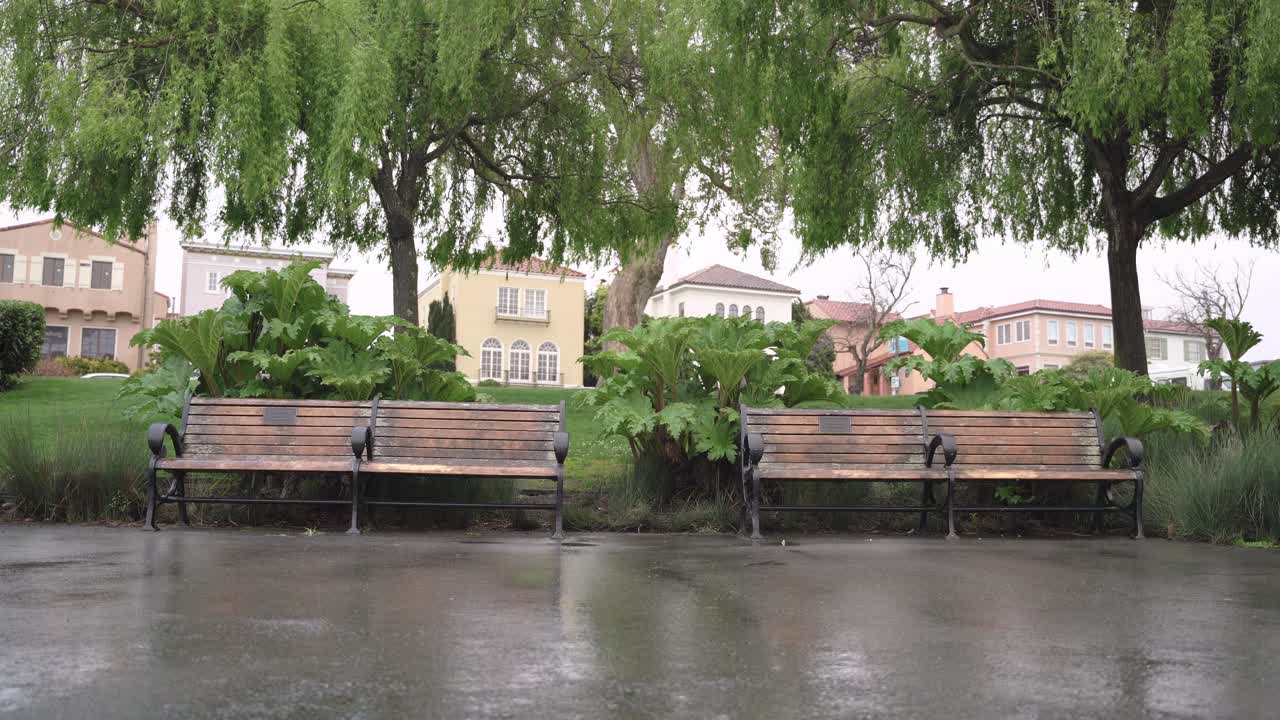 비오는 날 공원에 있는 나무 벤치 두 개