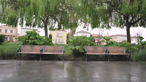 two wooden benches in the park in a rainy day
