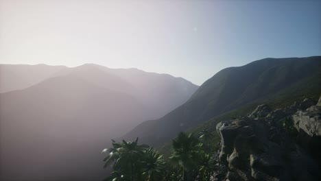 mountain and field landscape with palms