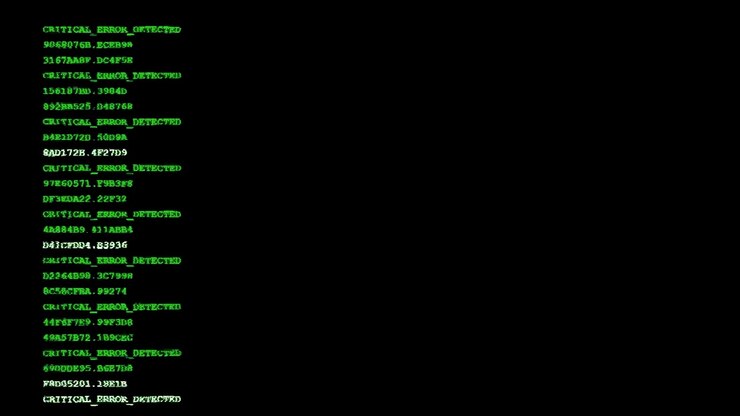Computer Terminal Displaying System Initialization and Critical Error Sequence