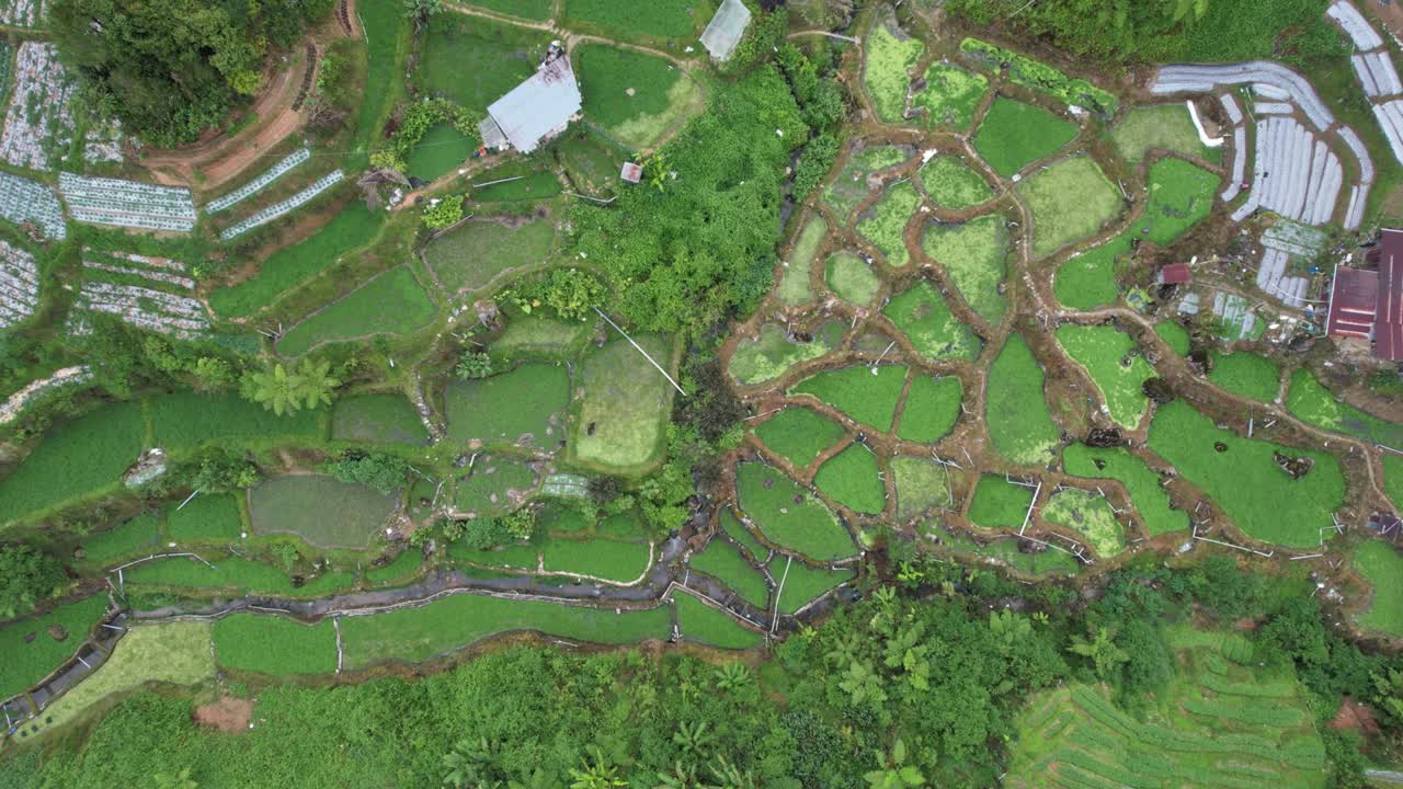 말레이시아의 카메론 하이랜드 지역 내의 브린창 지역의 일반 풍경