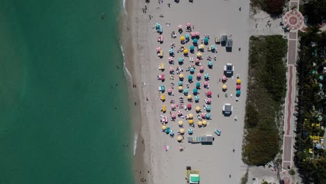 aerial view around parasols, sun chairs and people swimming at the miami beach in sunny florida - top down, rising, drone shot