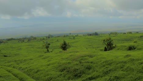 Aerial-view-of-the-Hawaiian-island-Maui-and-its-lush,-rolling-green-hill-landscape