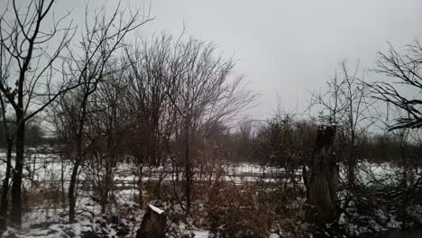 Traveling-down-a-Texas-country-road-in-slow-motion-with-big-trees-in-the-background-while-it-snows