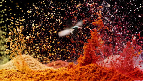 fly in a colorful spice explosion