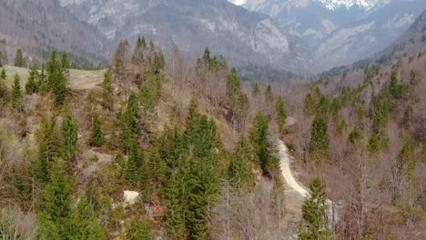 Antena-Adelante-Sobre-Pinos-De-Las-Montañas-De-Los-Alpes-Julianos,-Bohinj