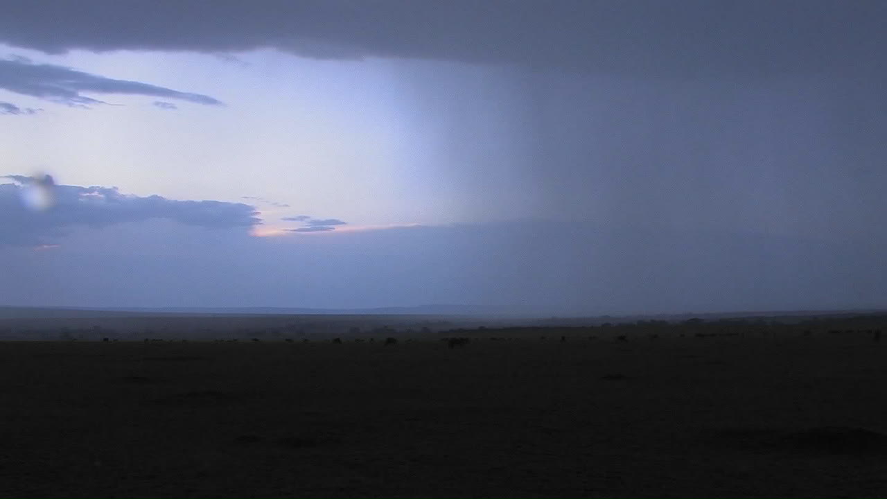 на равнинах африки начинают идти дожди