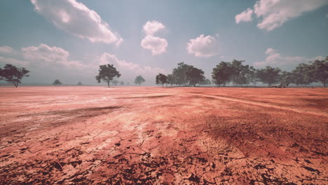 afrikaans savanne landschap met acacia bomen