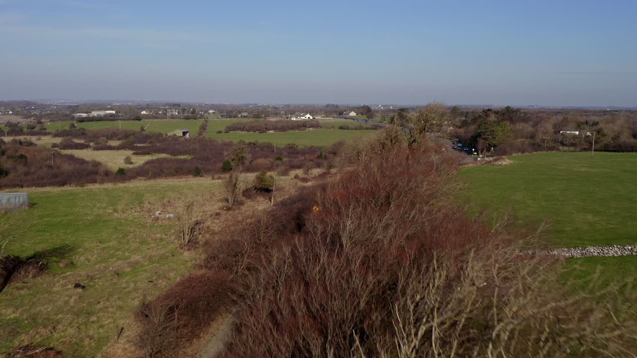 Aerial tracking shot over a country road in Galway, Ireland, gliding above roadside trees on a sunny day
