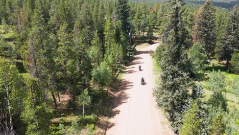 aerial view over the treetops of a dirt road with two motorcycles driving along the curves