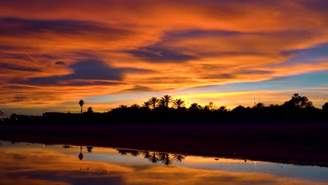 Time-Lapse-of-beautiful-sunset,-the-sky-on-fire-with-orange-clouds-colored-by-the-sun,-tropical-beach-with-calm-sea-and-palm-tree-in-the-background-of-the-image