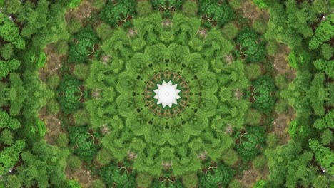 único y hermoso diseño de textura de caleidoscopio abstracto
