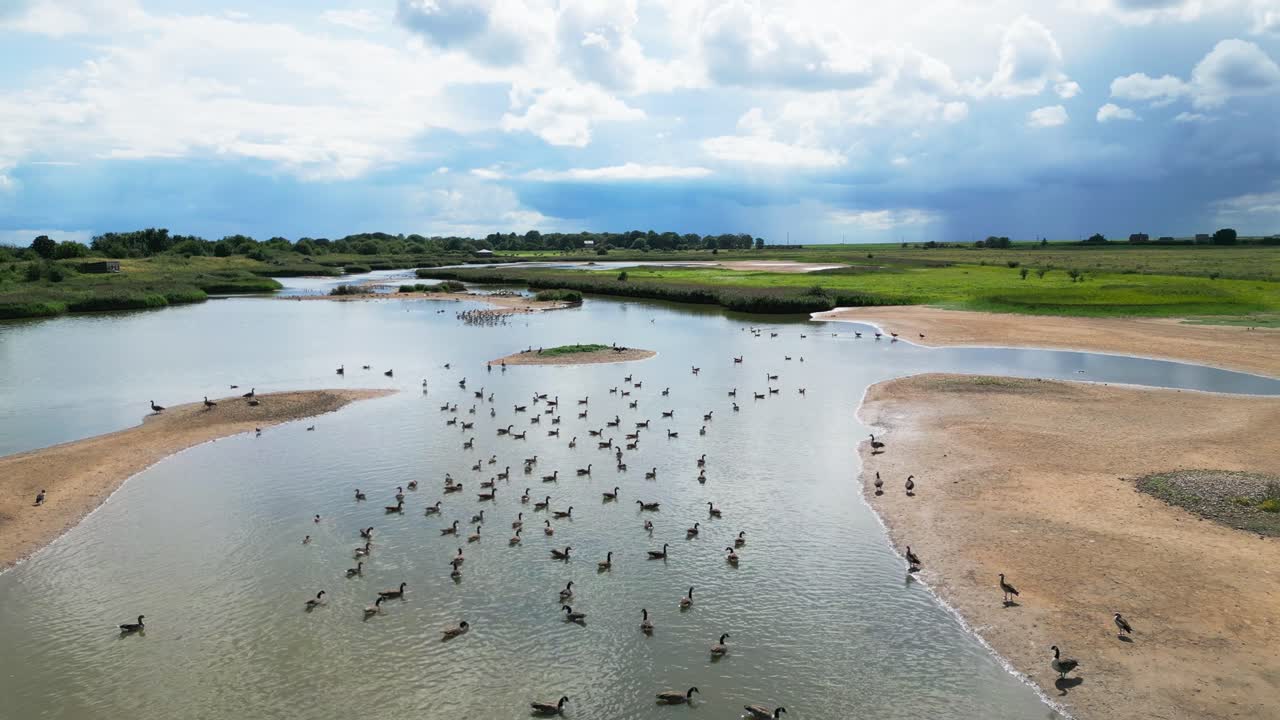 Metraje de vídeo aéreo que captura las marismas de agua salada a lo largo de la costa de Lincolnshire, con aves marinas en vuelo y en las lagunas y lagos interiores