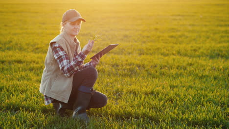 young woman farmer studying the seedlings of a plant in a field using a tablet