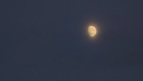 a glowing moon captured in the dark night sky