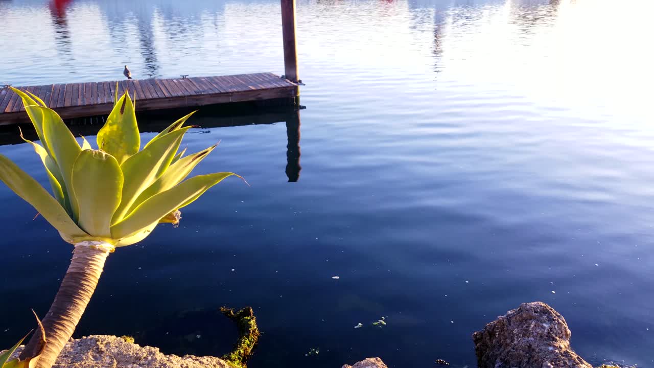 태양열은 열린 만과 부두에 일출 아침이 내리면 떨어집니다.