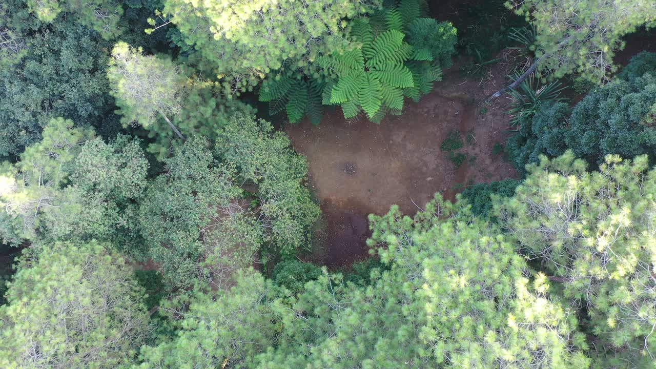 vista aérea del bosque con desierto