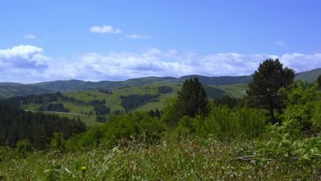 Peaceful-countryside-landscape-with-green-hills-covered-in-pine-trees-forest-and-meadow-under-bright-cloudy-sky