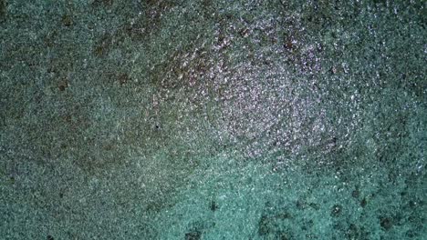 por encima de la foto de un dron del brillante océano turquesa claro en un día soleado
