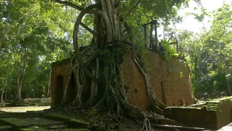 old british sugar mill in belize,