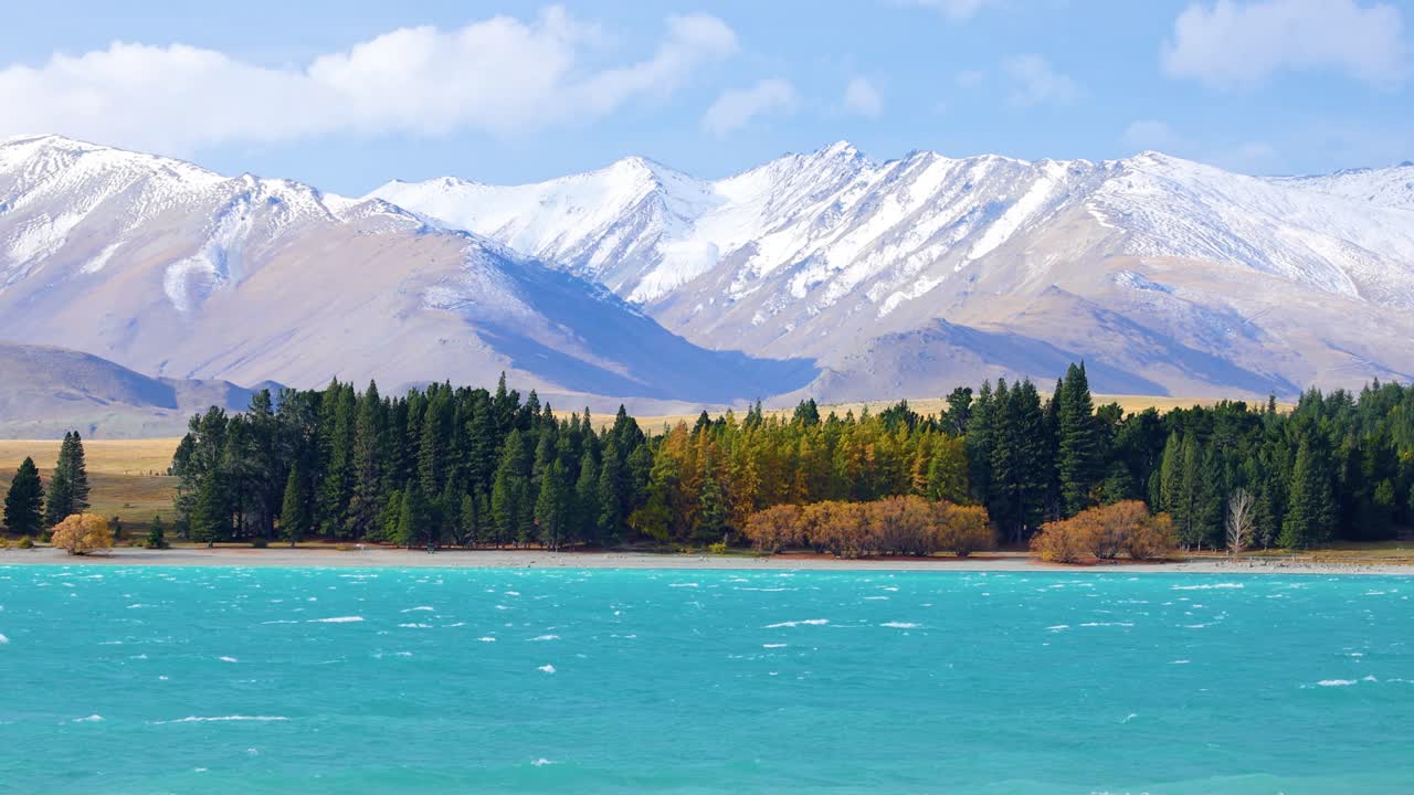 Wide shot of Lake Tekapo’s turquoise water, pine trees, and snow-capped mountains under bright daylight with gentle camera movement and autumn colors